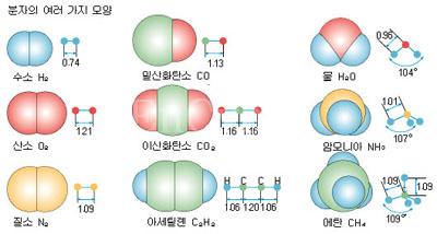 분자.jpg