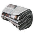 Newspaper1.gif