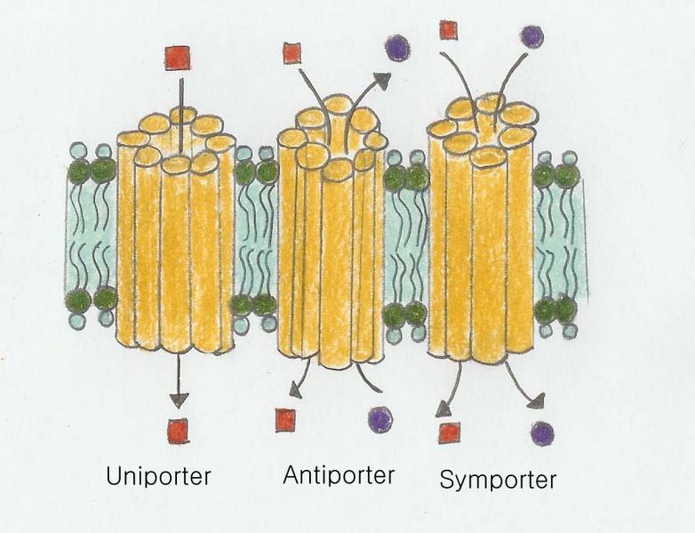File:Spanning 복사.jpg