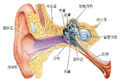 귀구조.gif