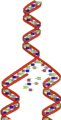 Dna-replicating 1.png